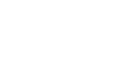 The Muir Group — Human Capital & Digital Solutions